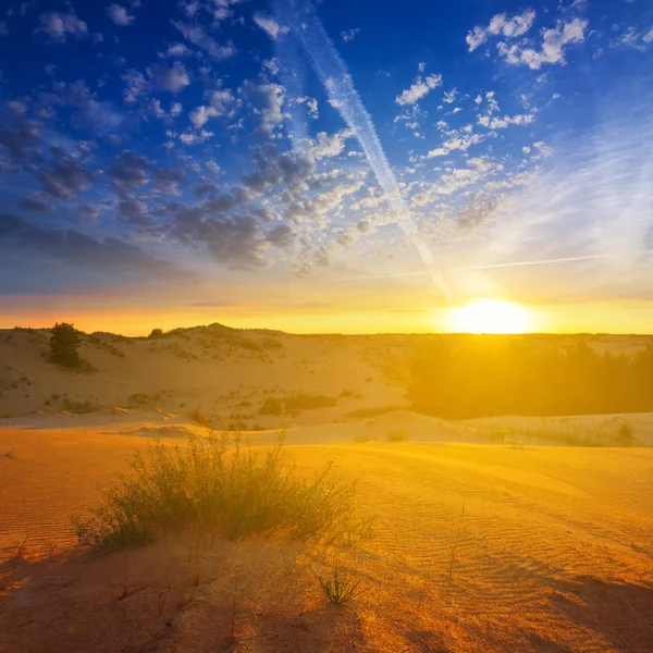 Sonnenuntergang über einer Sandwüste — Stockfoto