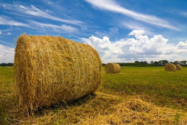 Haystack wheat field — Stock Photo, Image