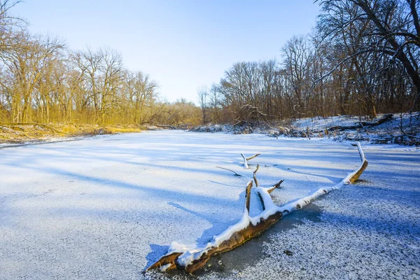 Skog Täckt Snö Vinter Natur Scen — Stockfoto