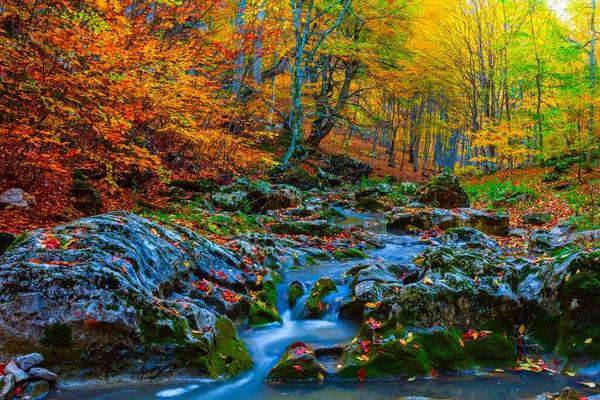 Kleiner Fluss Gebirgsschlucht Mit Roten Trockenen Blättern Bedeckt Natürliche Gebirgssaisonlandschaft — Stockfoto