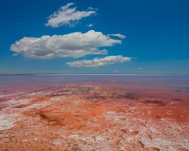 Bulutlu gökyüzünün altında küçük pembe bir göl