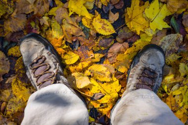 Kapalı yürüme bacağı kırmızı yaprakların üzerinde kal.