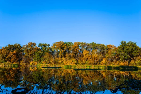 明るい日に海岸沿いの森のある小さな静かな湖 — ストック写真