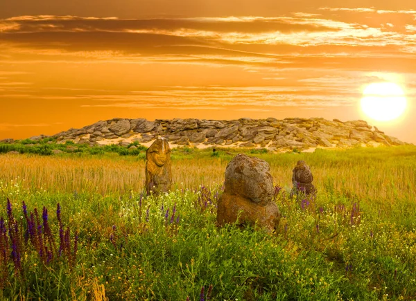 Толпа Старинных Каменных Идолов Останавливается Среди Зеленых Прерий Закате — стоковое фото
