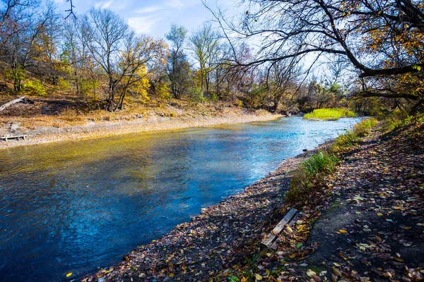 Flujo Tranquilo Del Río Través Del Bosque Otoño Fondo Natural — Foto de Stock