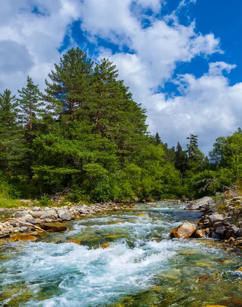 Řeka Řítí Horským Lesem Horský Kaňon Cestovní Scéna — Stock fotografie