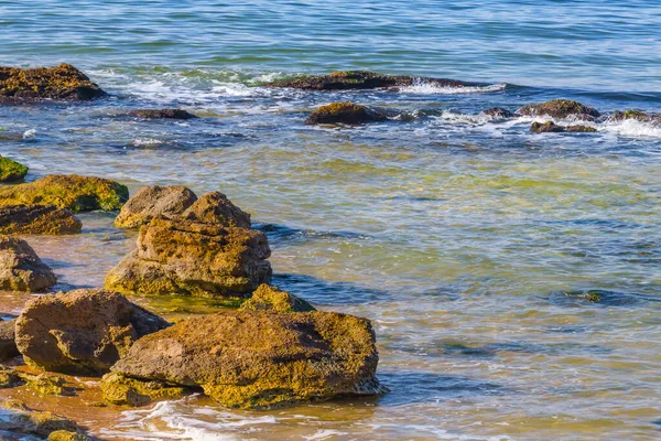 Costa Marítima Com Montão Pedras — Fotografia de Stock