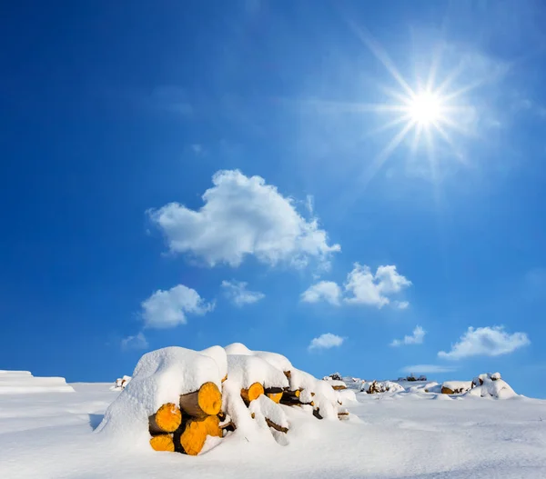 阳光明媚的日子里 一堆堆被雪覆盖的树干 — 图库照片