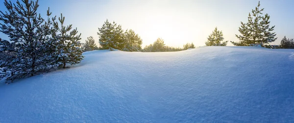 Śnieżna Polana Leśna Zachodzie Słońca Naturalna Sezonowa Scena Plenerowa — Zdjęcie stockowe