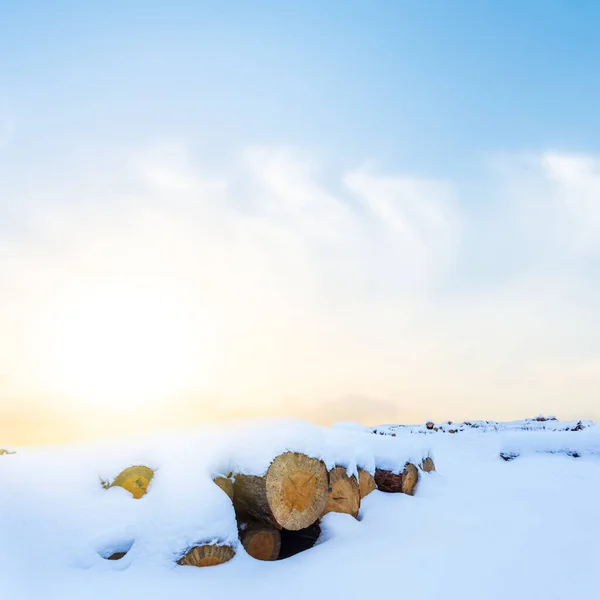 Montón Tronco Árbol Cubierto Nieve Atardecer —  Fotos de Stock