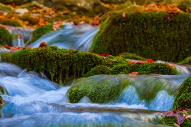 Yaklaş küçük dere taşın üzerinden akıyor, dağ nehri manzarası
