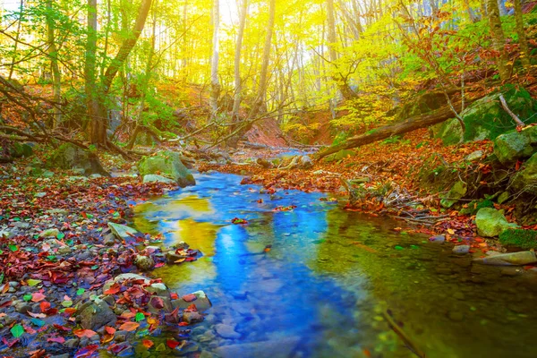 赤い乾燥した葉で覆われた小さな小川と山の峡谷秋の山のシーン — ストック写真