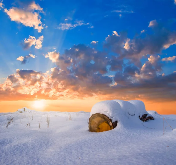 Yakın Ağaç Gövdesi Karla Kaplı Ovaların Arasında Uzanır Günbatımında Kış — Stok fotoğraf