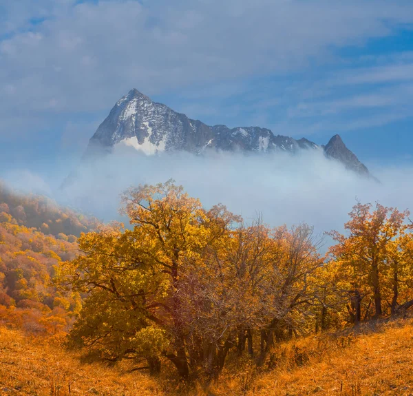 Φθινόπωρο Κοιλάδα Του Βουνού Πυκνά Σύννεφα Φυσικό Ορεινό Υπόβαθρο — Φωτογραφία Αρχείου