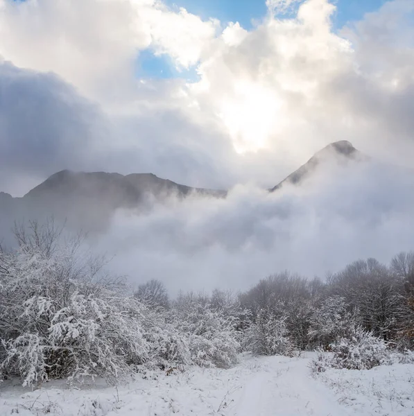 Mountain Valley Snow Pale Sunny Day Winter Outdoor Travel Scene — Stock fotografie