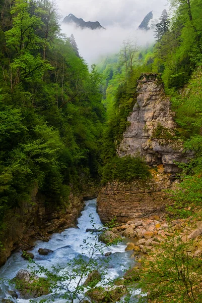 River Rushing Mountain Canyon Bottom — Stockfoto