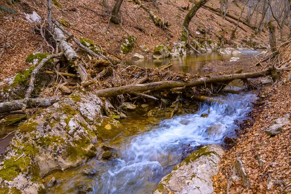 Small Waterfall Rushing Mountain River Natural Wild Travel Background — Stock Photo, Image