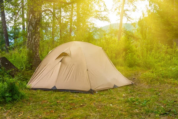 Closeup Touristic Tent Forest Glade Touristic Travel Background — Stock Photo, Image