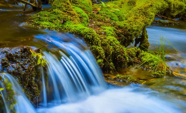 Gros Plan Petite Rivière Montagne Précipitant — Photo