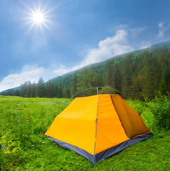 Primo Piano Tenda Turistica Sulla Radura Della Foresta Sfondo Viaggio — Foto Stock