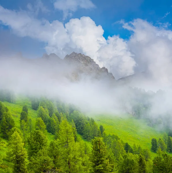 雪山山脊前的青山谷地 — 图库照片