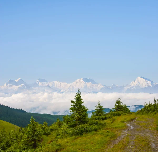 Groene Bergvallei Voor Besneeuwde Bergkam — Stockfoto