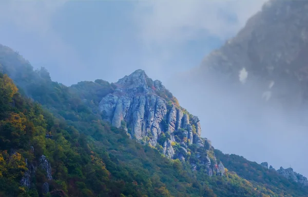 Sis Yoğun Bulutlar Içinde Yeşil Dağ Vadisi — Stok fotoğraf