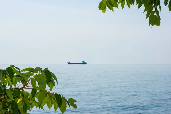 Vista Dai Rami Degli Alberi Alla Nave Carico Mare — Foto Stock