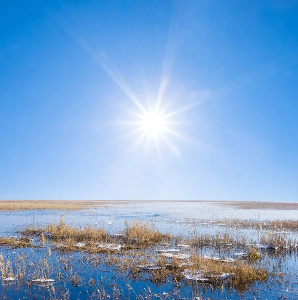Güneşli bahar gününde eriyen nehir, doğal mevsimlik manzara.