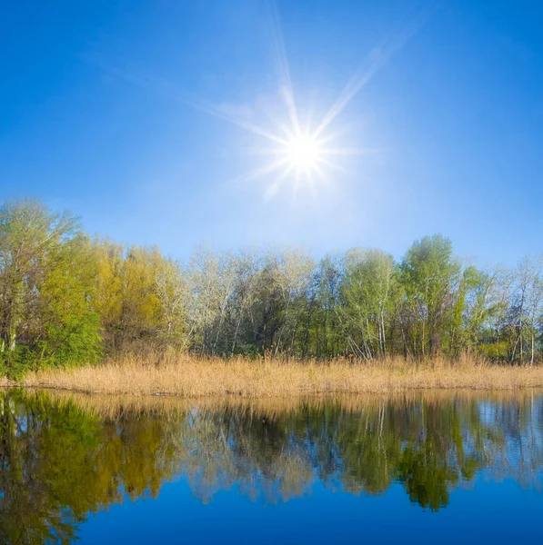 Beau Lac Calme Journée Ensoleillée Fond Naturel Printemps — Photo