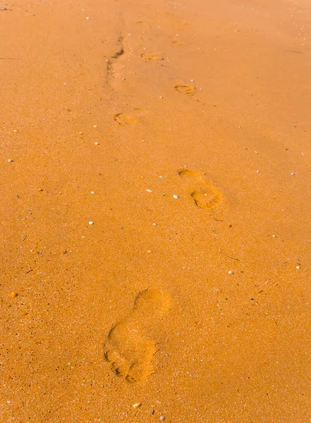 Sandy Sea Beach Human Track Summer Sea Vacation Background — Stock Photo, Image