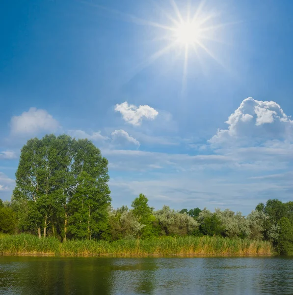 Hiljainen Kesäjoki Metsän Kanssa Rannikolla Aurinkoisena Päivänä Ulkona Kesäkohtaus — kuvapankkivalokuva