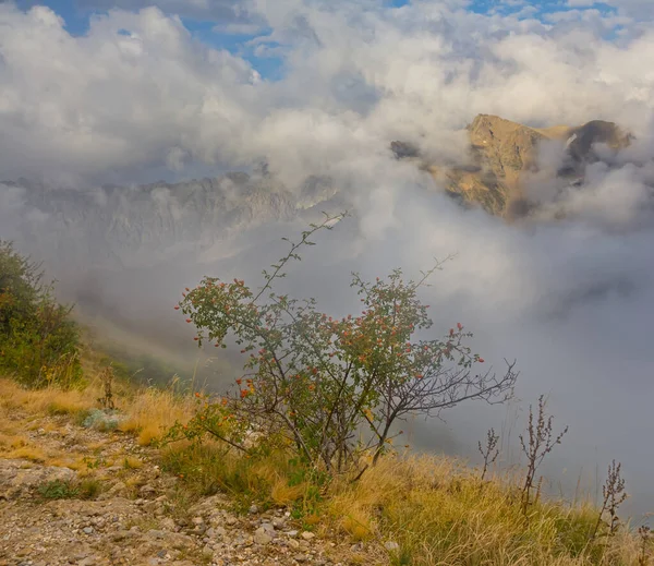 Valle Montagna Fitta Nebbia Nuvole — Foto Stock