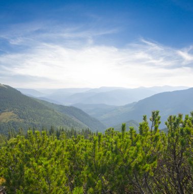 Yeşil Dağ Vadisi Dağ manzarası 