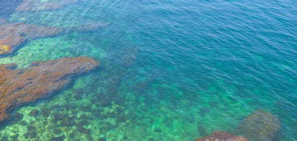 Rocky Emerald Sea Coast Summer Sea Scene — Stock Photo, Image