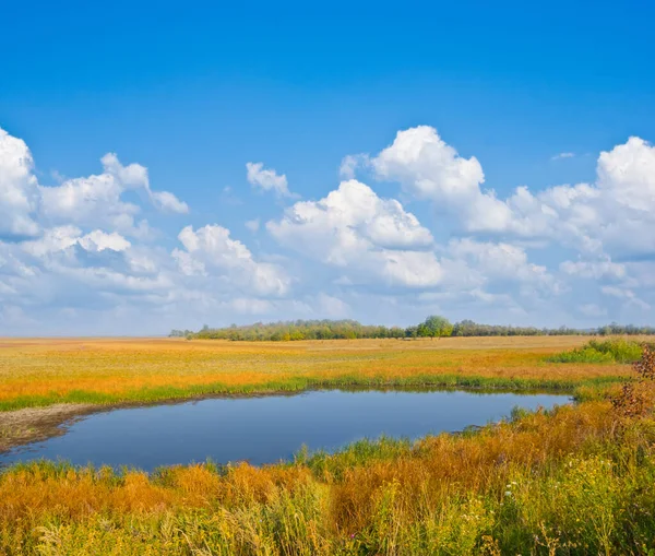 草原の中の静かな小さな湖夏の屋外シーン — ストック写真