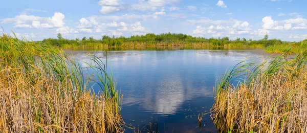 Petit Lac Calme Parmi Les Prairies Scène Été Plein Air — Photo