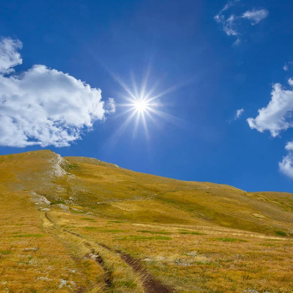 Grünes Gebirgstal Sonnigen Tag Natürlicher Reisehintergrund — Stockfoto