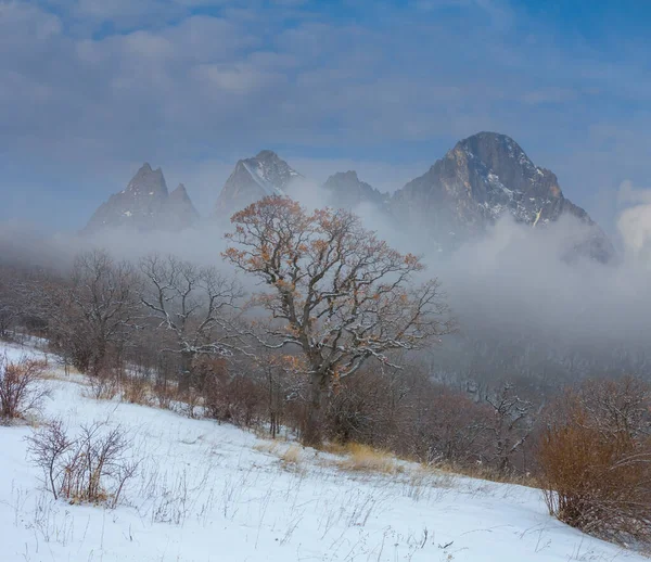 白雪覆盖的山谷 薄雾密布 — 图库照片
