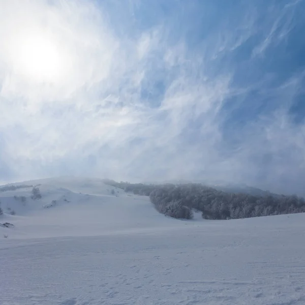 晴れた日の雪の山高原冬の屋外風景 — ストック写真