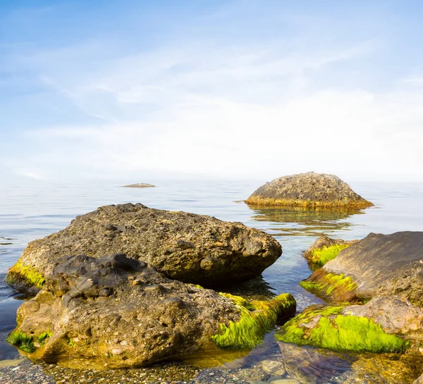 Costa Del Mar Tranquila Con Piedras Madrugada — Foto de Stock