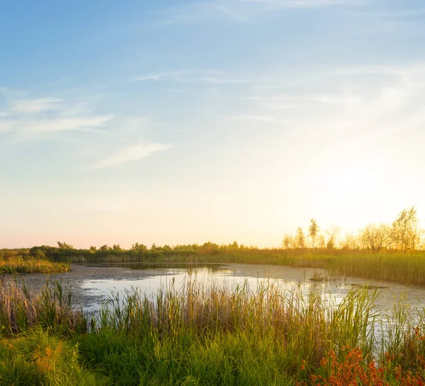 Piccolo Lago Tranquillo Tra Praterie Tramonto — Foto Stock