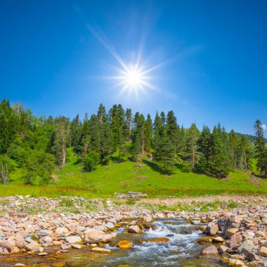 Dağ vadisindeki taşların üzerinden akan küçük dere, doğal seyahat sahnesi.