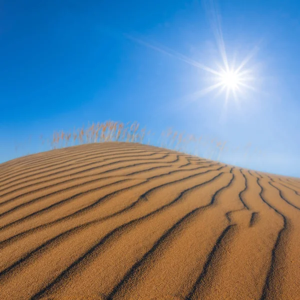 輝く太陽と砂漠の風景に照らされた砂丘 — ストック写真