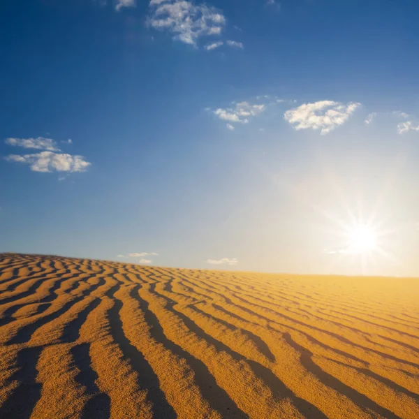 Zandwoestijn Duin Bij Zonsondergang — Stockfoto