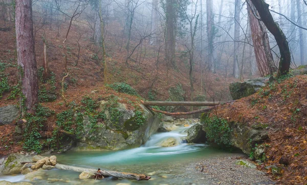 Malá Horská Řeka Vodopádem Horském Kaňonu Podzimní Venkovní Horská Scéna — Stock fotografie