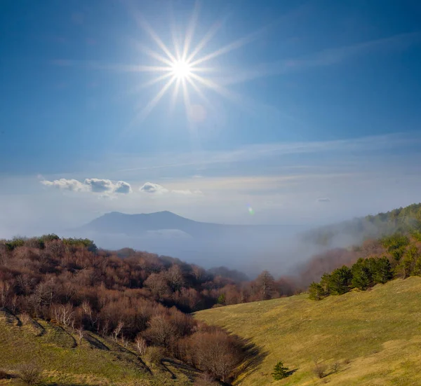 Nebliges Gebirgstal Mit Wald Bei Sonnigem Tag — Stockfoto