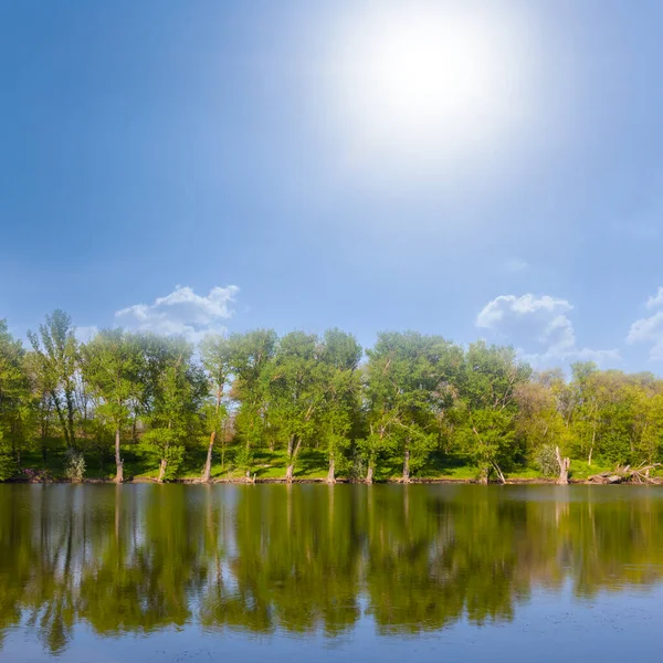 Ruhiger Sommerfluss Mit Anbauflächen Der Küste Bei Sonnigem Tag — Stockfoto