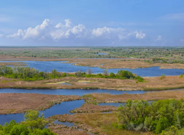 上から眺める静かな川の流れ夏の大自然の田園風景 — ストック写真