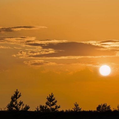 Gün batımında kırmızı dramatik gökyüzünde küçük orman silueti, doğal akşam manzarası.